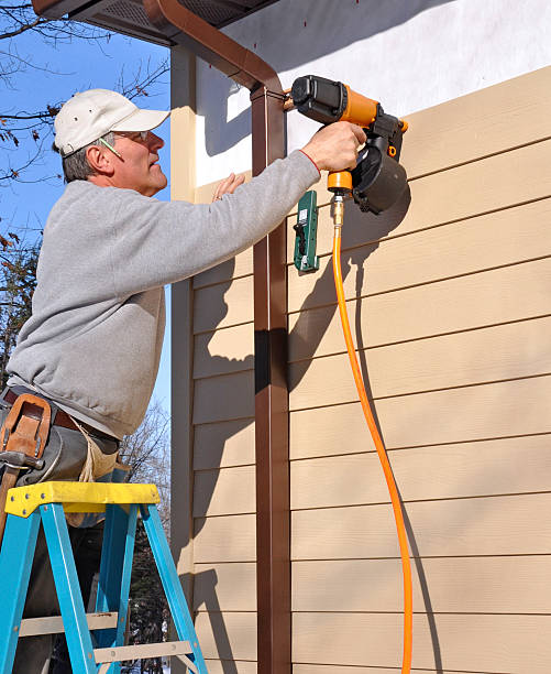 Best Vinyl Siding Installation  in South Monroe, MI