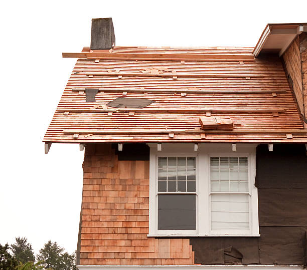 Best Historical Building Siding Restoration  in South Monroe, MI